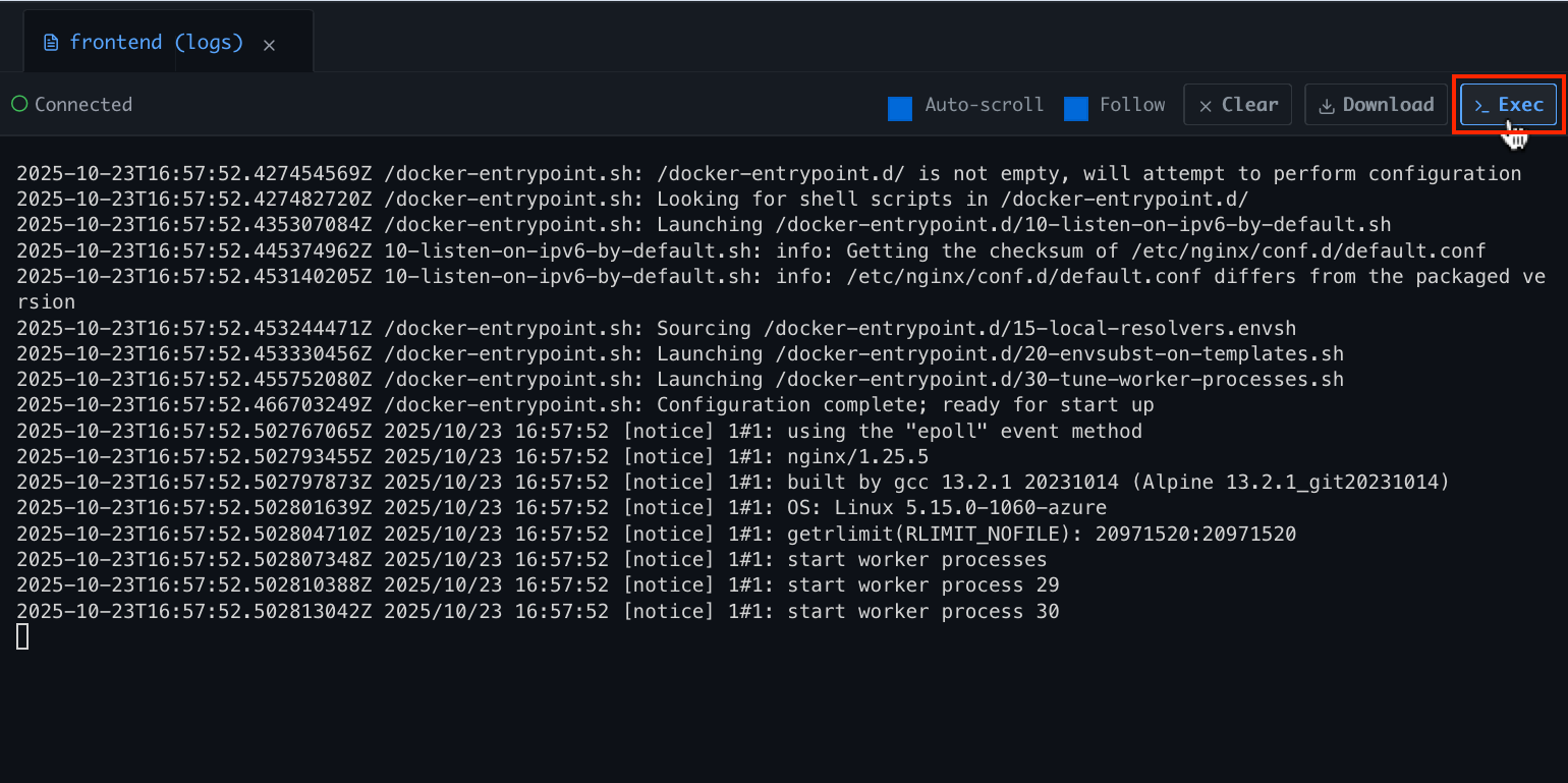 terminal-exec.png